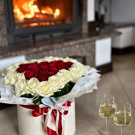 Happy House Apartment Slavske